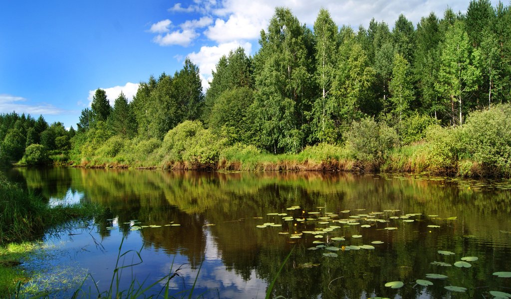 Обои небо, лето, облака, деревья, озеро, река, природа, лес, отражение, the sky, summer, clouds, trees, lake, river, nature, forest, reflection разрешение 3408x2272 Загрузить