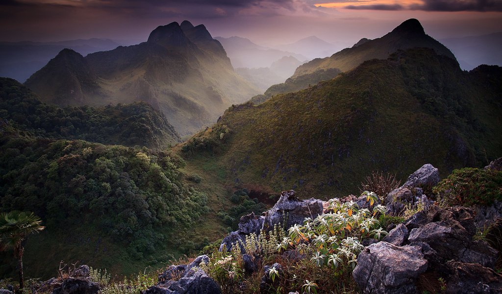 Обои небо, цветы, горы, камни, тучи, таиланд, растительность, the sky, flowers, mountains, stones, clouds, thailand, vegetation разрешение 1920x1200 Загрузить