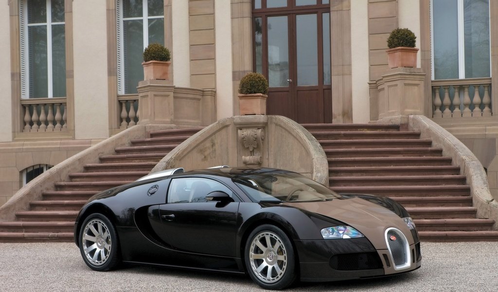 Обои особняк, bugatti veyron, mansion разрешение 1920x1200 Загрузить