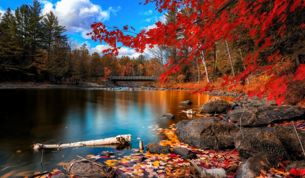 Обои небо, облака, деревья, река, камни, листья, мост, осень, the sky, clouds, trees, river, stones, leaves, bridge, autumn разрешение 2560x1600 Загрузить