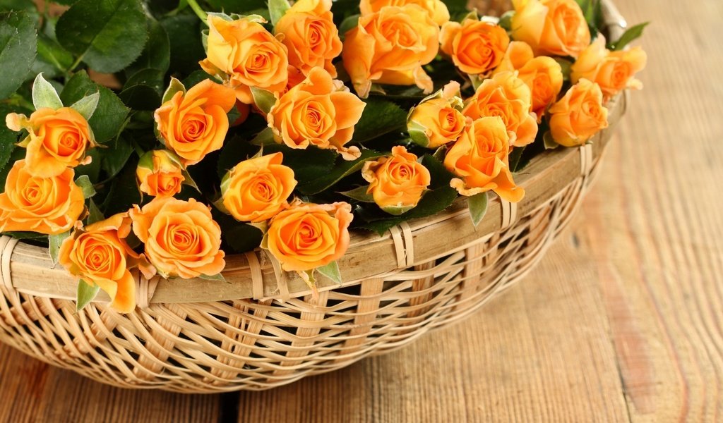 Обои цветы, розы, лепестки, букет, корзина, желтые, flowers, roses, petals, bouquet, basket, yellow разрешение 2560x1600 Загрузить