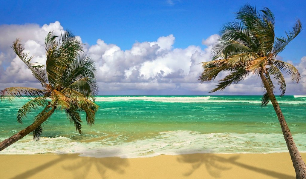 Обои волны, песок, пляж, пальмы, тропики, wave, sand, beach, palm trees, tropics разрешение 1920x1080 Загрузить