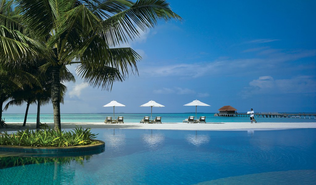 Обои пляж, пальмы, тропики, мальдивы, beach, palm trees, tropics, the maldives разрешение 3000x2250 Загрузить