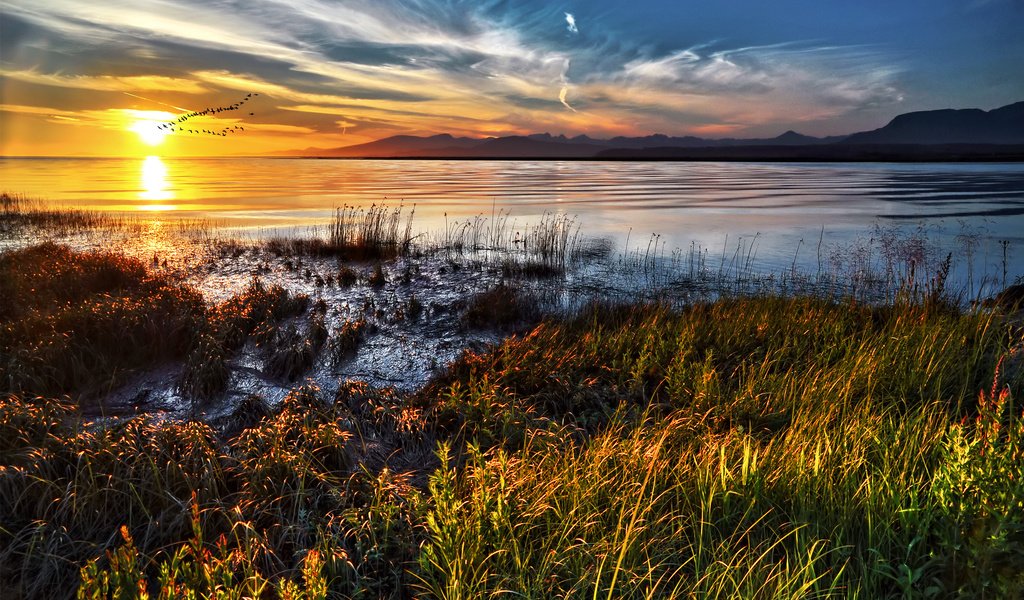 Обои трава, облака, озеро, солнце, закат, горизонт, птицы, стая, grass, clouds, lake, the sun, sunset, horizon, birds, pack разрешение 2560x1600 Загрузить