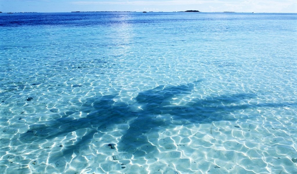 Обои небо, вода, отражение, тень, океан, пальма, мальдивы, the sky, water, reflection, shadow, the ocean, palma, the maldives разрешение 1920x1200 Загрузить