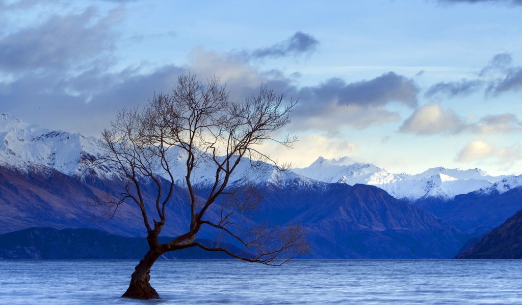 Обои небо, облака, озеро, горы, дерево, пейзаж, вершины, the sky, clouds, lake, mountains, tree, landscape, tops разрешение 1920x1080 Загрузить