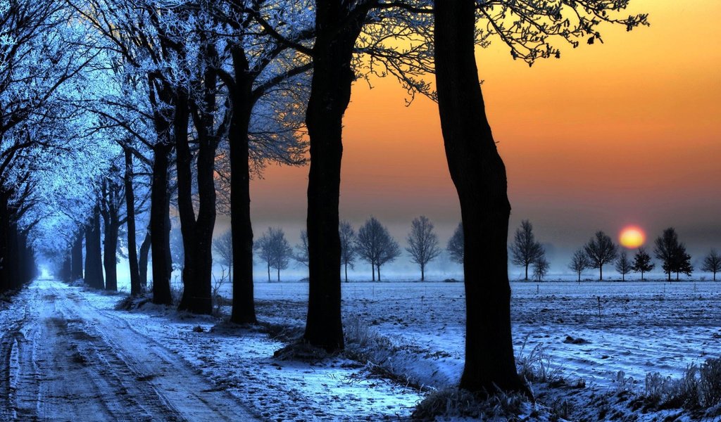 Обои дорога, деревья, закат, зима, морозный вечер, холодные дни, road, trees, sunset, winter, frosty evening, cold days разрешение 1920x1200 Загрузить