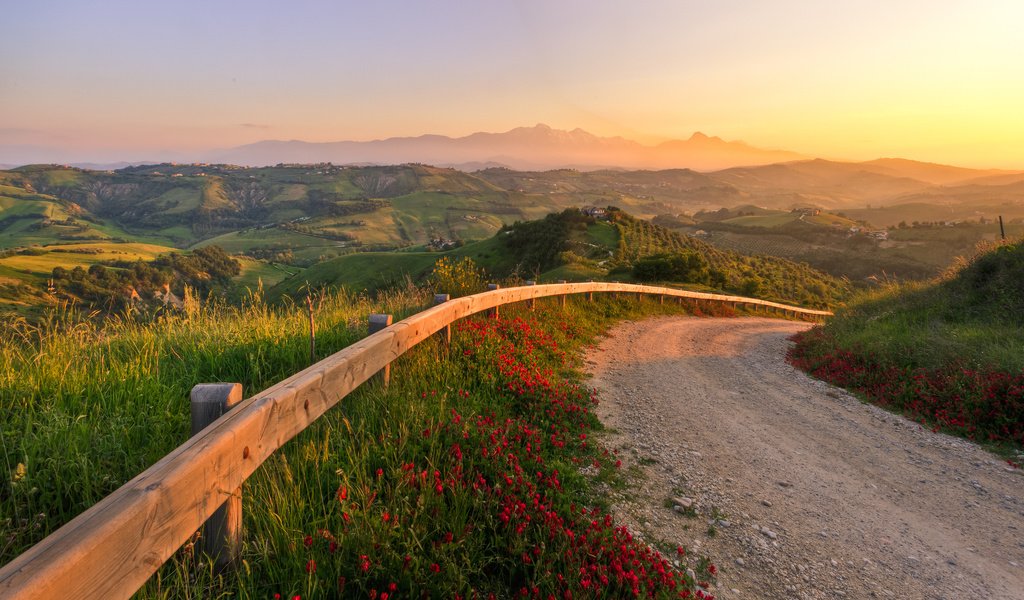 Обои дорога, цветы, трава, холмы, природа, закат, италия, road, flowers, grass, hills, nature, sunset, italy разрешение 2560x1600 Загрузить