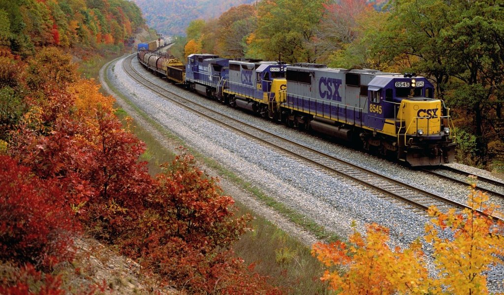 Обои железная дорога, лес, осень, поезд, railroad, forest, autumn, train разрешение 1920x1280 Загрузить