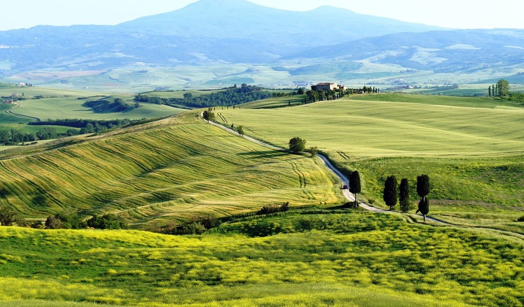 Обои поля, италия, тоскана, toscana, pienza, пьенца, terrapille, field, italy, tuscany разрешение 2560x1440 Загрузить