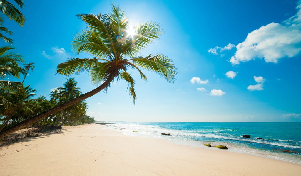 Обои пляж, тропики, beach, tropics разрешение 4256x2832 Загрузить
