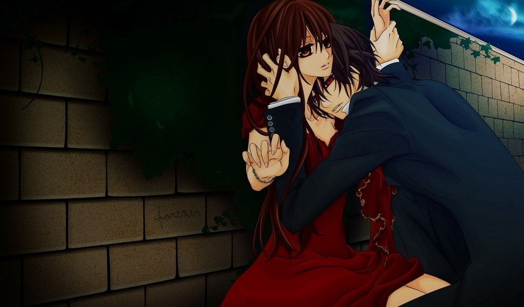 Обои аниме, rycar vampir, yuki, kaname, anime разрешение 1920x1080 Загрузить