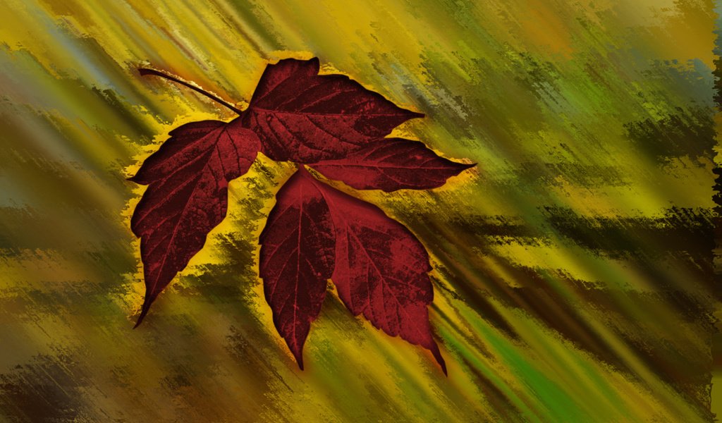 Обои кленовый лист, осенний цвет, maple leaf, autumn color разрешение 2560x1600 Загрузить