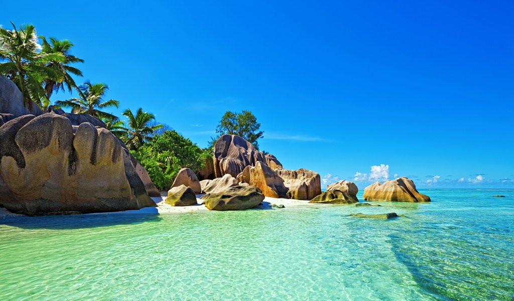 Обои море, пляж, отдых, тропики, сейшелы, sea, beach, stay, tropics, seychelles разрешение 5567x3598 Загрузить