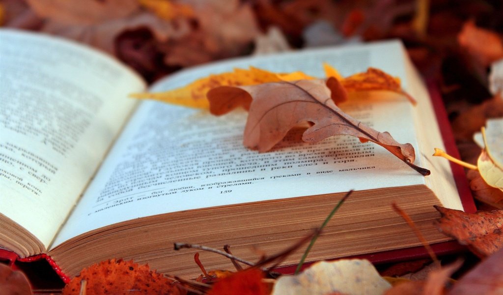 Обои листья, листва, осень, текст, книга, страницы, leaves, foliage, autumn, text, book, page разрешение 2048x1365 Загрузить