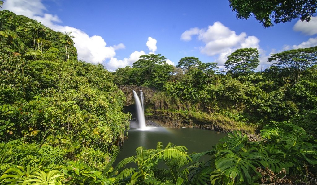 Обои деревья, лес, водопад, тропики, гавайи, trees, forest, waterfall, tropics, hawaii разрешение 2800x1860 Загрузить
