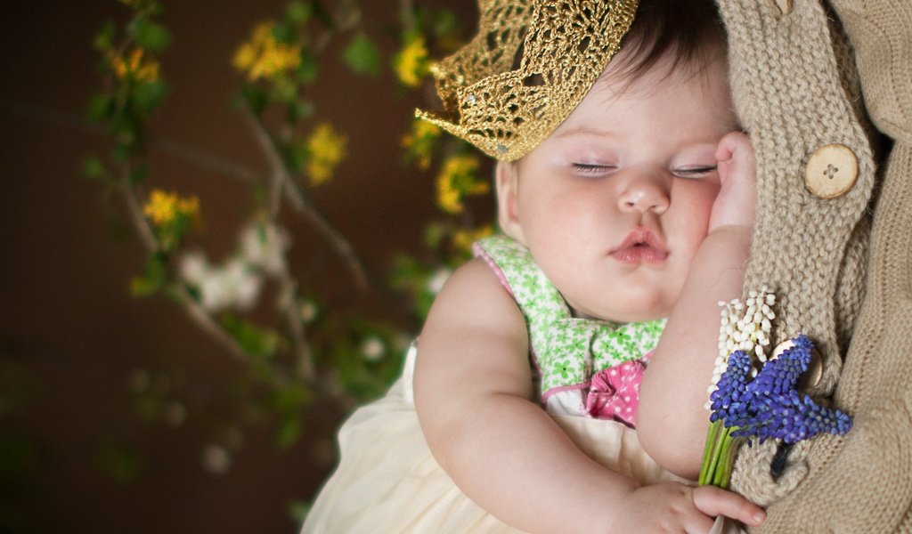 Обои цветы, сон, девочка, ребенок, младенец, корона, flowers, sleep, girl, child, baby, crown разрешение 2250x1612 Загрузить