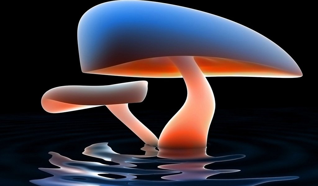 Обои вода, абстракция, отражение, грибы, гриб, гриб в воде, 3д графика, water, abstraction, reflection, mushrooms, mushroom, mushroom in the water, 3d graphics разрешение 1920x1080 Загрузить