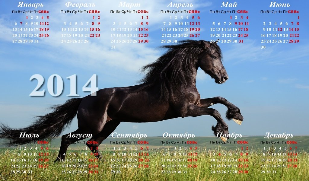 Обои календарь 2014 с лошадью, calendar 2014 with horse разрешение 2560x1440 Загрузить