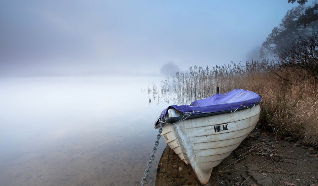 Обои озеро, туман, лодка, камыш, lake, fog, boat, reed разрешение 1920x1200 Загрузить