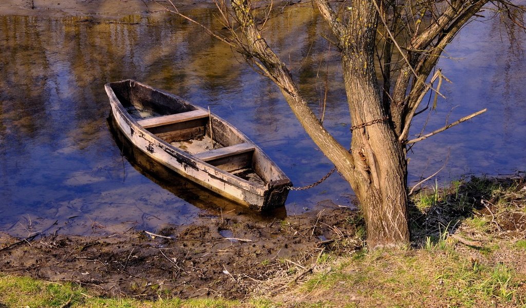 Обои река, дерево, лодка, цепь, river, tree, boat, chain разрешение 2560x1600 Загрузить
