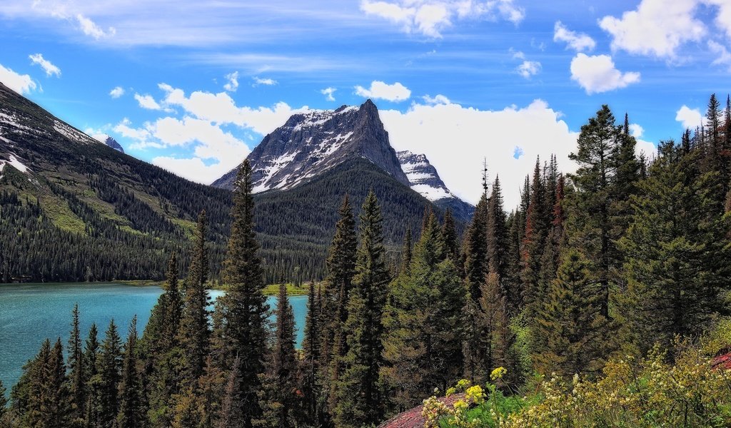 Обои деревья, озеро, горы, пейзаж, st mary lake, национальный парк глейшер, trees, lake, mountains, landscape, glacier national park разрешение 2560x1600 Загрузить