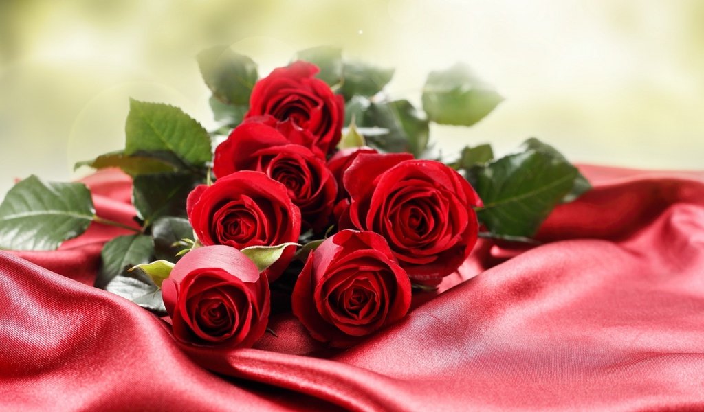 Обои цветы, макро, фото, розы, красный фон, flowers, macro, photo, roses, red background разрешение 2560x1600 Загрузить