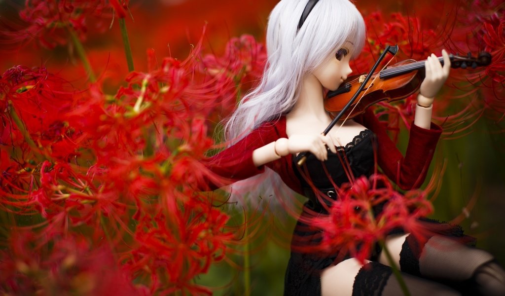 Обои цветы, скрипка, кукла, flowers, violin, doll разрешение 3200x2133 Загрузить