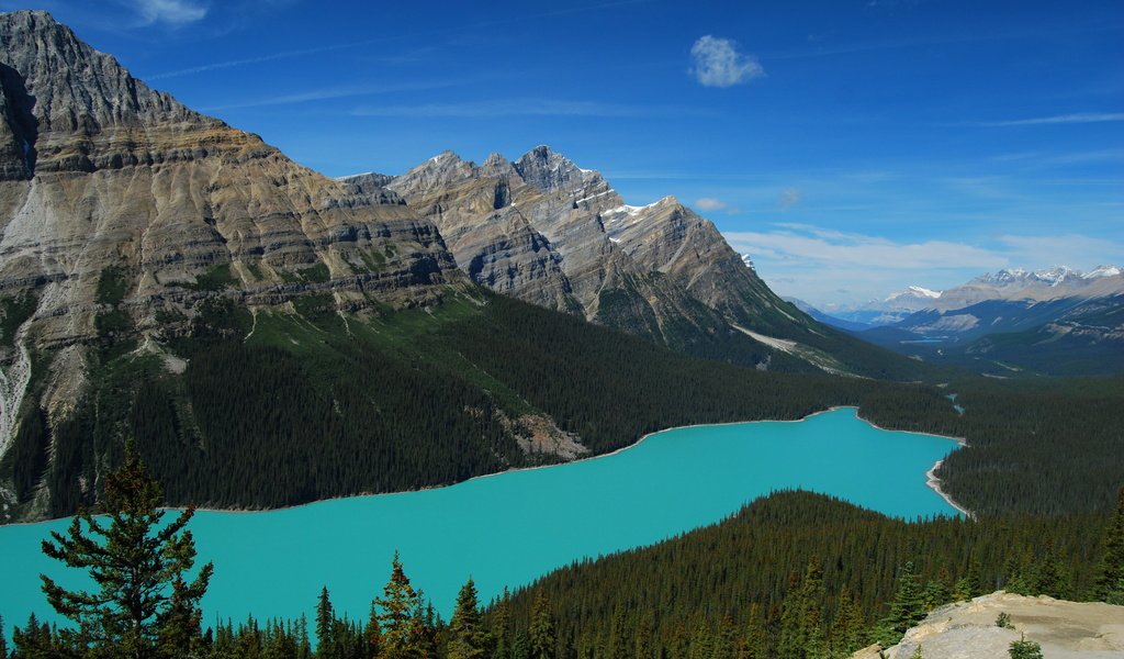 Обои озеро, горы, лес, пейзаж, канада, национальный парк банф, peyto lake, пейто, lake, mountains, forest, landscape, canada, banff national park, peyto разрешение 2560x1600 Загрузить