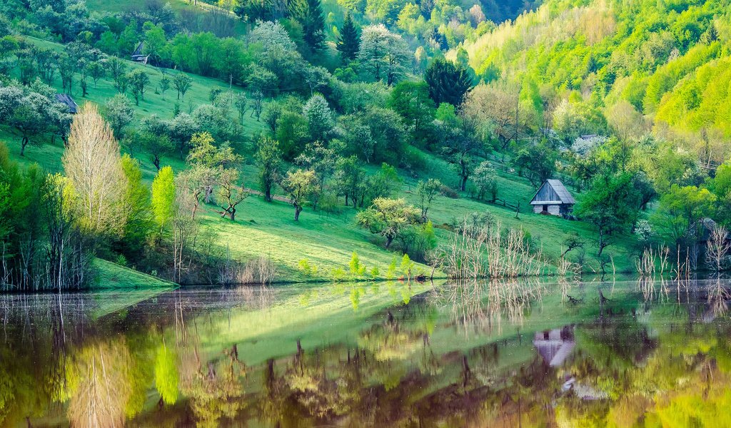 Обои деревья, озеро, отражение, склон, гора, дома, весна, trees, lake, reflection, slope, mountain, home, spring разрешение 1920x1200 Загрузить