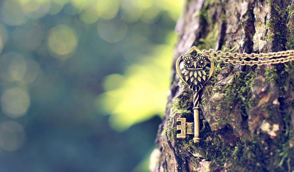 Обои сова, дерево, ключ, металлический, цепочка, подвеска, owl, tree, key, metal, chain, suspension разрешение 1920x1200 Загрузить