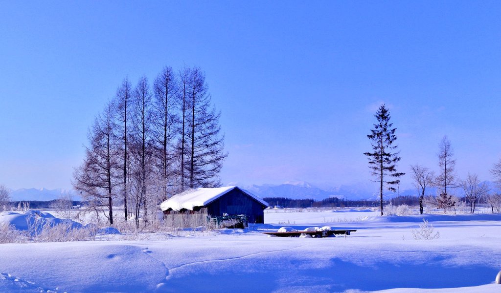 Обои деревья, снег, зима, поле, дом, trees, snow, winter, field, house разрешение 1920x1200 Загрузить