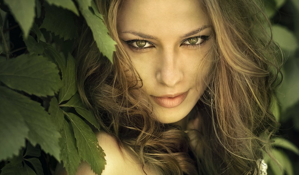 Обои глаза, природа, листья, девушка, взгляд, волосы, лицо, eyes, nature, leaves, girl, look, hair, face разрешение 2560x1600 Загрузить