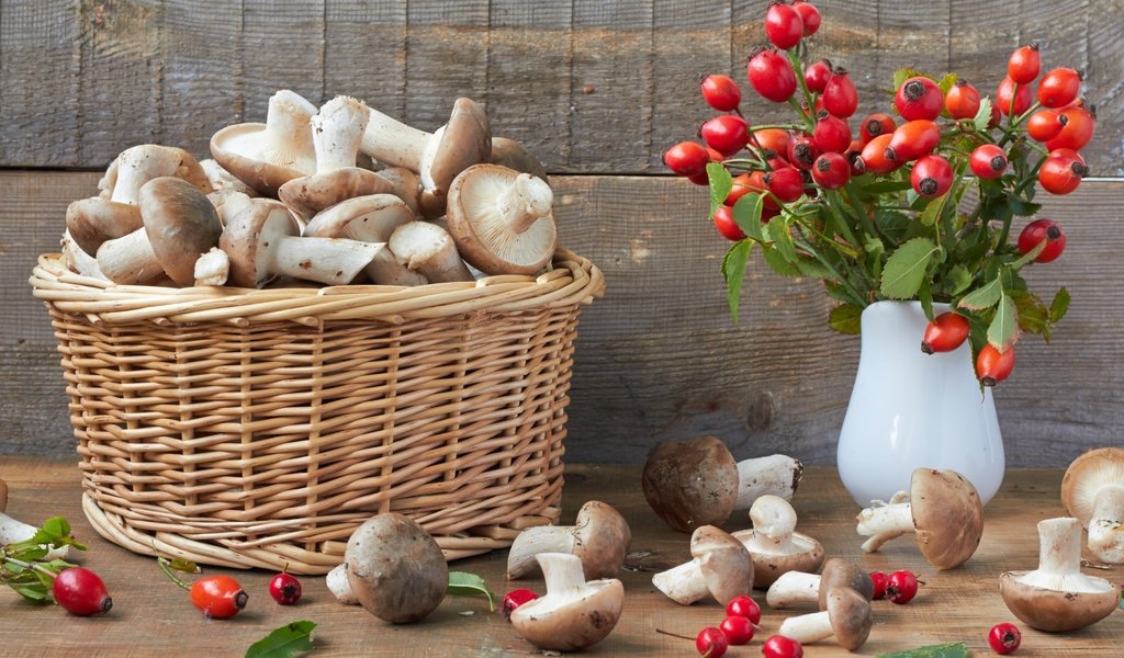 Обои грибы, шиповник, корзина, боярышник, mushrooms, briar, basket, hawthorn разрешение 3600x2400 Загрузить