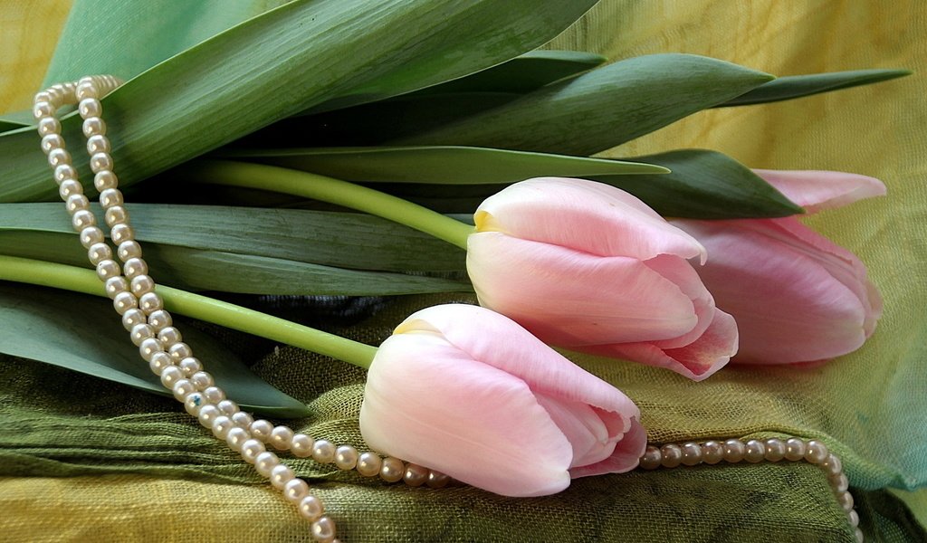 Обои букет, тюльпаны, бусы, bouquet, tulips, beads разрешение 1920x1200 Загрузить