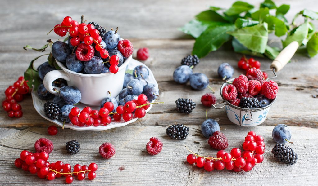 Обои малина, ягоды, красная смородина, ежевика, сливы, anna verdina, raspberry, berries, red currant, blackberry, plum разрешение 2000x1240 Загрузить