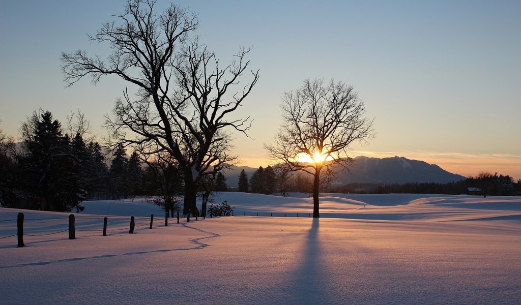 Обои небо, деревья, природа, закат, зима, the sky, trees, nature, sunset, winter разрешение 2074x1382 Загрузить