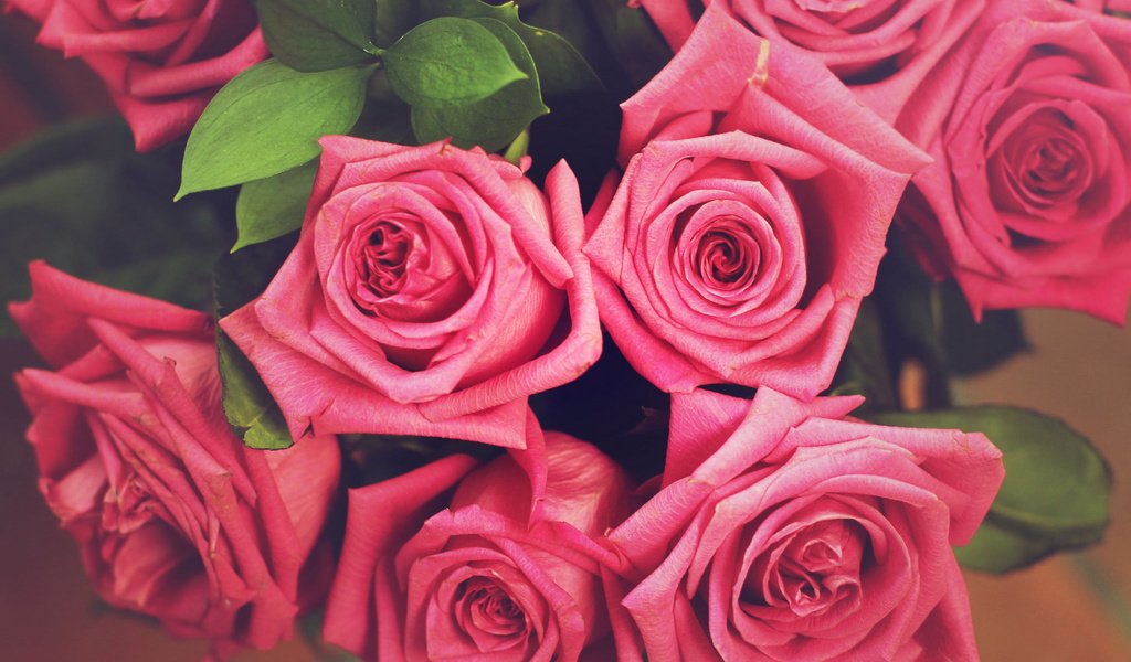 Обои цветы, розы, букет, flowers, roses, bouquet разрешение 2048x1463 Загрузить