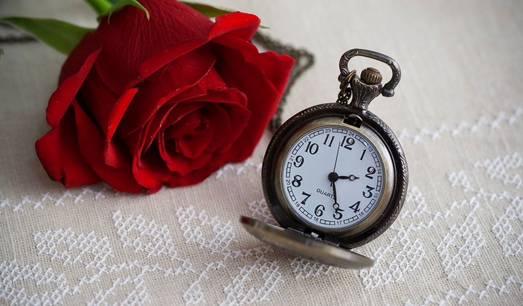 Обои цветок, роза, часы, время, времени, циферблат, цветком, clock, flower, rose, watch, time, dial разрешение 1920x1282 Загрузить