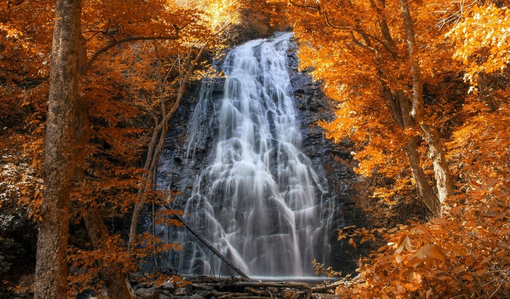 Обои лес, водопад, осень, каскад, forest, waterfall, autumn, cascade разрешение 1920x1200 Загрузить