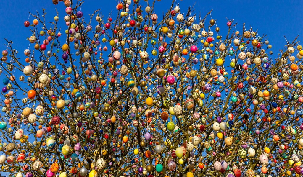 Обои небо, дерево, весна, пасха, яйца, the sky, tree, spring, easter, eggs разрешение 1920x1200 Загрузить