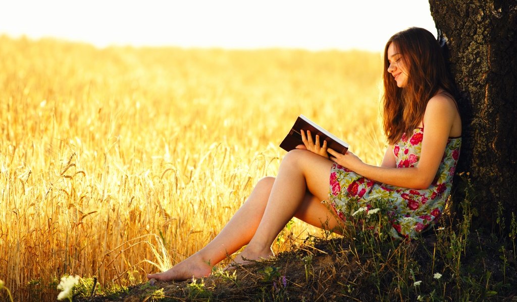 Обои дерево, девушка, поле, пшеница, книга, tree, girl, field, wheat, book разрешение 5616x3744 Загрузить