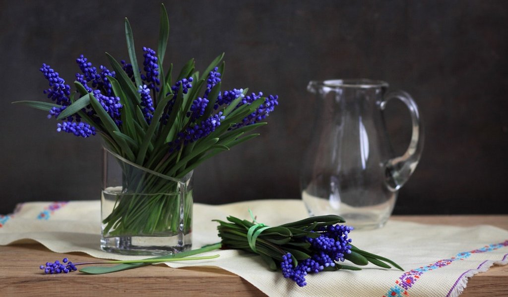 Обои цветы, букет, синие, натюрморт, мускари, flowers, bouquet, blue, still life, muscari разрешение 1920x1281 Загрузить