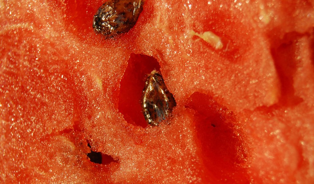 Обои макро, арбуз, семечки, мякоть, сочный, macro, watermelon, seeds, the flesh, juicy разрешение 1920x1200 Загрузить