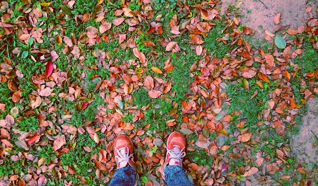 Обои листья, осень, ноги, листик, листопад, leaves, autumn, feet, leaf, falling leaves разрешение 2133x1200 Загрузить