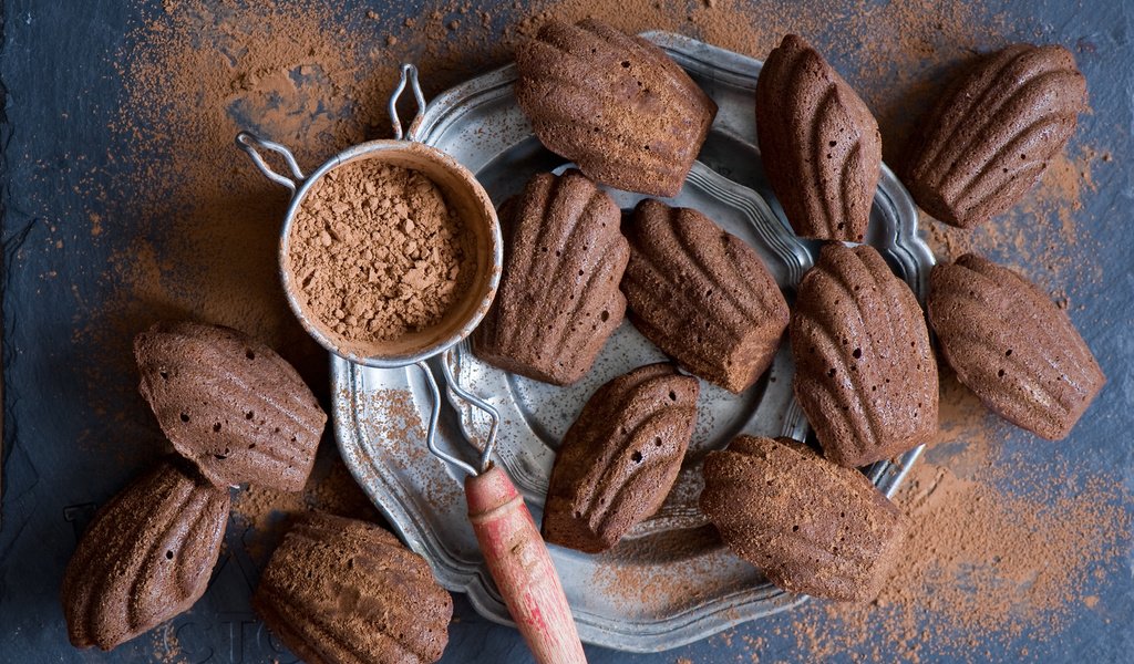 Обои печенье, в шоколаде, какао, anna verdina, шоколадные, мадлены, madelens, мадлен, cookies, chocolate, cocoa, his wife's, madeleine разрешение 2000x1395 Загрузить