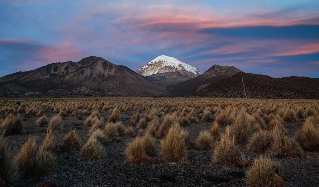 Обои небо, вечер, горы, снег, кусты, боливия, the sky, the evening, mountains, snow, the bushes, bolivia разрешение 2048x1365 Загрузить