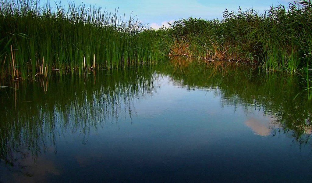 Обои вода, природа, water, nature разрешение 1920x1080 Загрузить