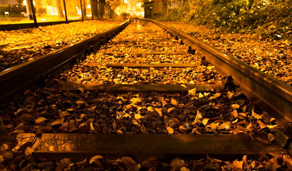 Обои деревья, огни, железная дорога, листья, город, осень, trees, lights, railroad, leaves, the city, autumn разрешение 2560x1600 Загрузить