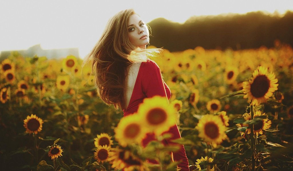 Обои девушка, лето, взгляд, подсолнухи, красное платье, girl, summer, look, sunflowers, red dress разрешение 2048x1365 Загрузить